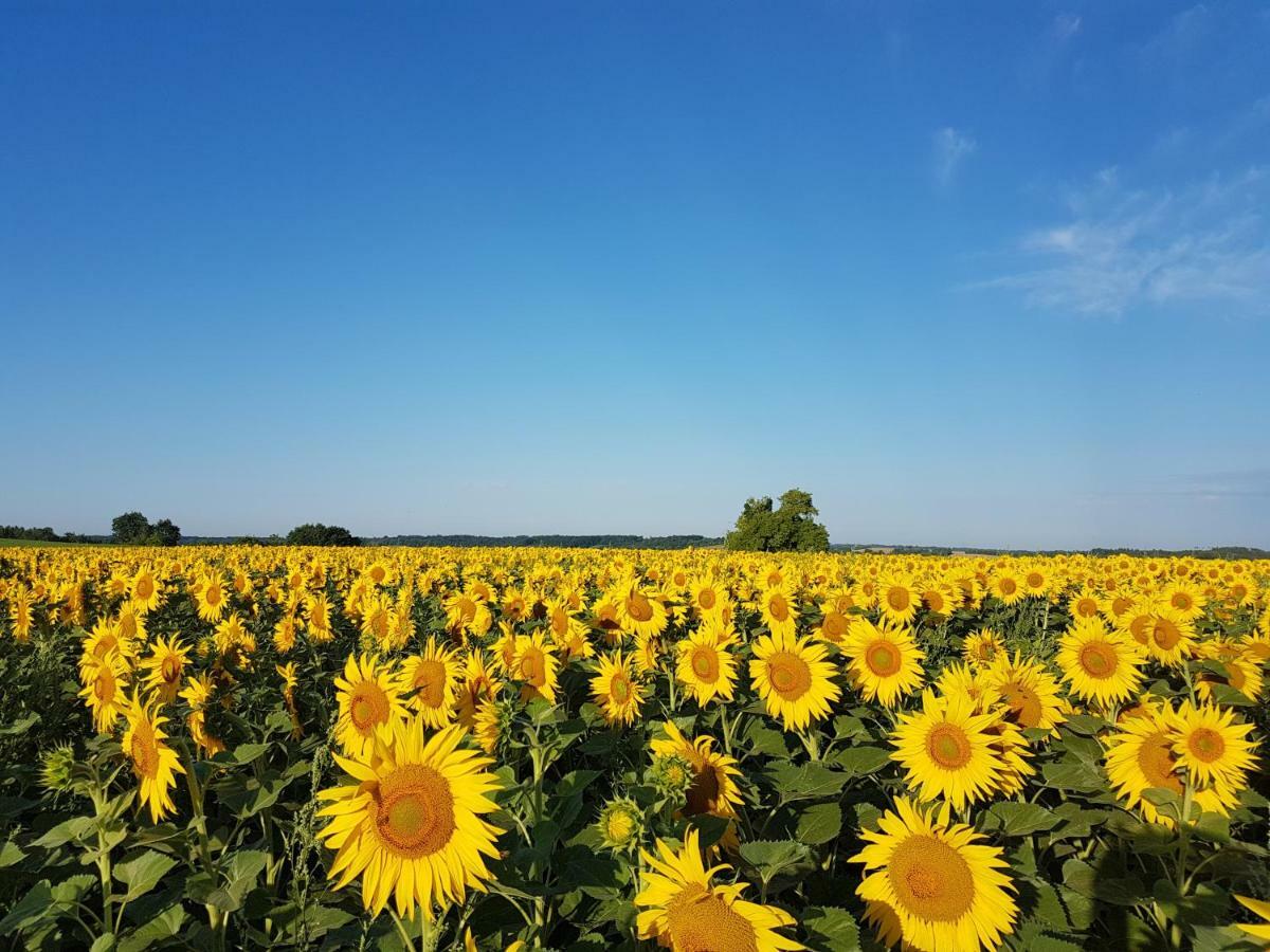 Вілла Langlade Estate Montboyer Екстер'єр фото